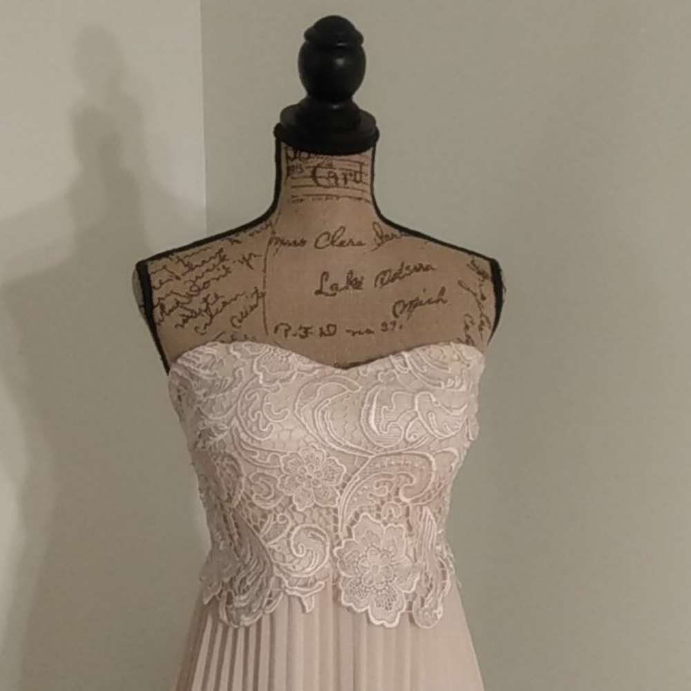 Daisy Pleated Laced Gown | SM